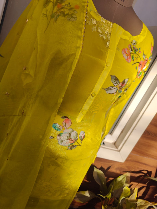Yellow Organza Suit